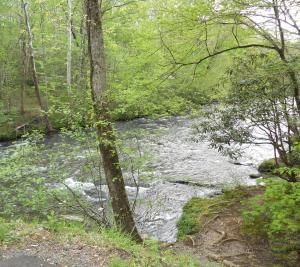 Smokies stream